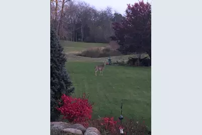 1335 N Silo Ridge Drive, Ann Arbor, MI 48108 - Photo 27