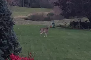 1335 N Silo Ridge Dr, Ann Arbor, MI 48108 - Photo 27