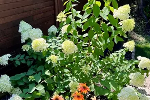 3624 Lowden St, Kalamazoo, MI 49008 - Photo 33