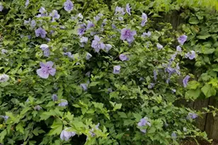 17 Evanston, Battle Creek, MI 49014 - Photo 15