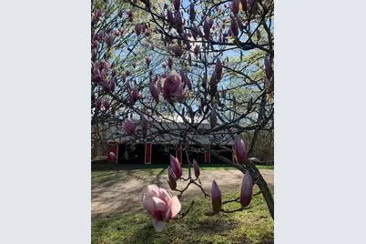 29349 County Road 390, Gobles, MI 49055 - Photo 29