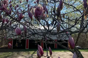 29349 Co Rd 390, Gobles, MI 49055 - Photo 29