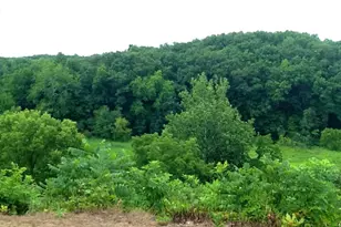 13927 Carter Lake St, Jones, MI 49061 - Photo 53