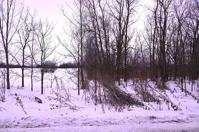 0 E Howe Road, DeWitt, MI 48820 - Photo 35