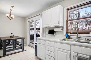 339 S Vine St, Stanton, MI 48888 - Photo 9