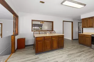 8411 Spring Rd, Stanton, MI 48888 - Photo 11