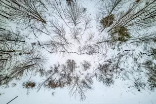 7107 W Webster Rd, Montague, MI 49437 - Photo 51