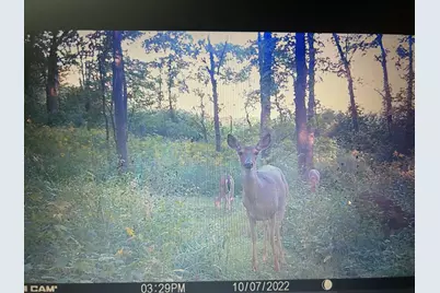 6130 Greggs Crossing Road, Nashville, MI 49073 - Photo 43