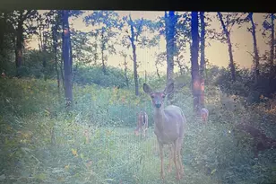 6130 Greggs Crossing Rd, Nashville, MI 49073 - Photo 43