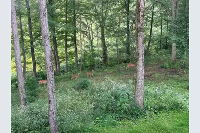 6130 Greggs Crossing Road, Nashville, MI 49073 - Photo 41