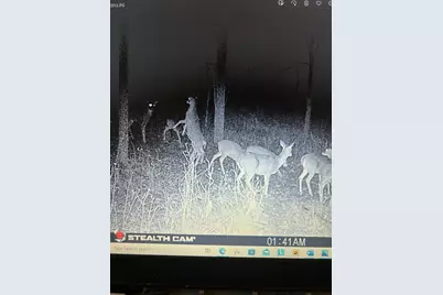 6130 Greggs Crossing Road, Nashville, MI 49073 - Photo 45