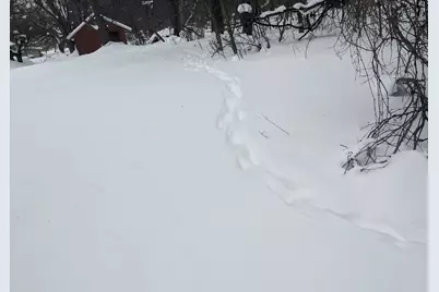 1820 Wilson Avenue NW, Grand Rapids, MI 49534 - Photo 63