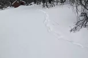 1820 Wilson Ave NW, Grand Rapids, MI 49534 - Photo 63