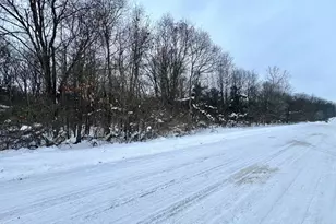 V/L S 15th St, Niles, MI 49120 - Photo 1