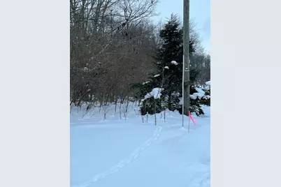 0 S 15th Street, Niles, MI 49120 - Photo 5