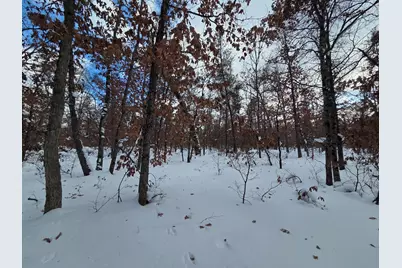 V/L S Harvard Ave., Baldwin, MI 49304 - Photo 5