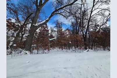 V/L S Harvard Ave., Baldwin, MI 49304 - Photo 5