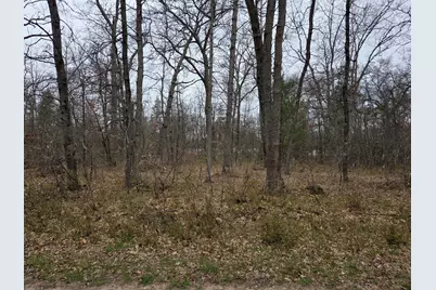 V/L S Harvard Ave., Baldwin, MI 49304 - Photo 3
