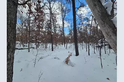 V/L S Astor Rd., Baldwin, MI 49304 - Photo 3