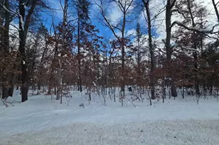 V/L S Astor Rd, Baldwin, MI 49304 - Photo 1