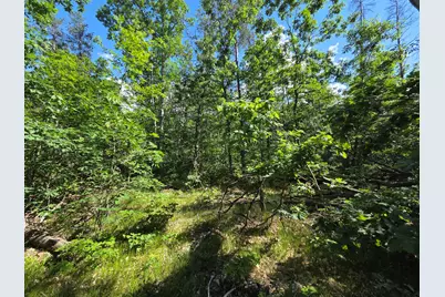 V/L S Astor Rd., Baldwin, MI 49304 - Photo 3