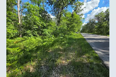 V/L S Astor Rd., Baldwin, MI 49304 - Photo 1