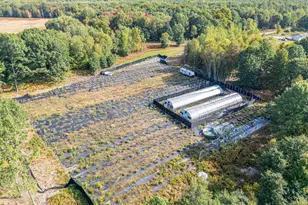 5852 NW County Line Rd, Beaverton, MI 48612 - Photo 11