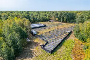 5852 NW County Line Rd, Beaverton, MI 48612 - Photo 69