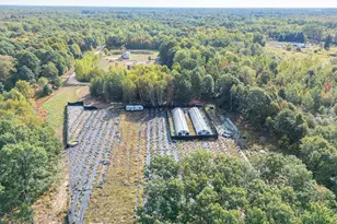 5852 NW County Line Rd, Beaverton, MI 48612 - Photo 5