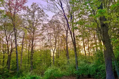 17220 Valley Drive, Big Rapids, MI 49307 - Photo 63