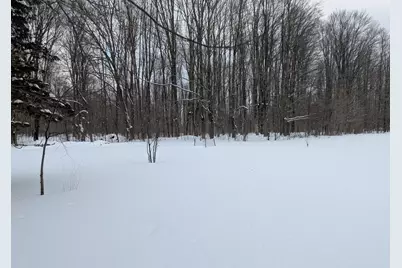 5545 S 25 Road, Boon, MI 49618 - Photo 41