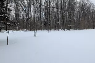 5545 S 25 Rd, Boon, MI 49618 - Photo 41