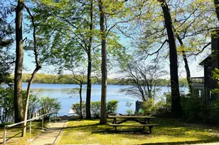 50035 Forest Rd, Dowagiac, MI 49047 - Photo 19