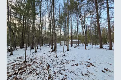 9852 S Birchwood Dr., Baldwin, MI 49304 - Photo 35