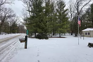 9852 S Birchwood Dr, Baldwin, MI 49304 - Photo 31