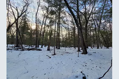 9852 S Birchwood Dr., Baldwin, MI 49304 - Photo 33