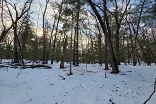 9852 S Birchwood Dr, Baldwin, MI 49304 - Photo 33