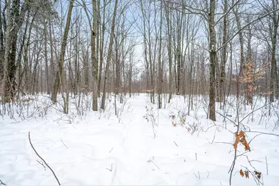 561 N 8 Mile Rd., Lake City, MI 49651 - Photo 73