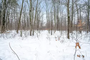 561 N 8 Mile Rd, Lake City, MI 49651 - Photo 73