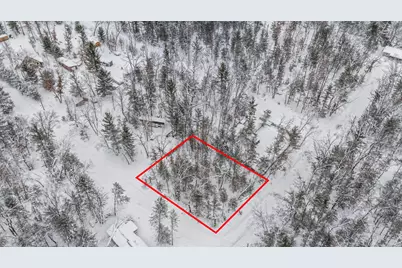 V/L Newbern Blvd, Baldwin, MI 49304 - Photo 5