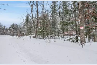 V/L Newbern Blvd, Baldwin, MI 49304 - Photo 1