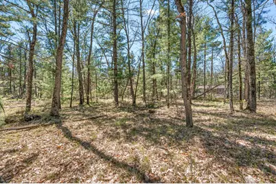 V/L Newbern Blvd, Baldwin, MI 49304 - Photo 5