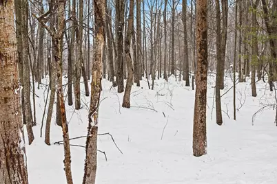 Nadeau Drive, Pullman, MI 49450 - Photo 17