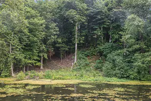 3307 Lake Dr, Allegan, MI 49010 - Photo 31