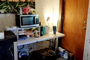 967 Continental St, Detroit, MI 48215 - Photo 29