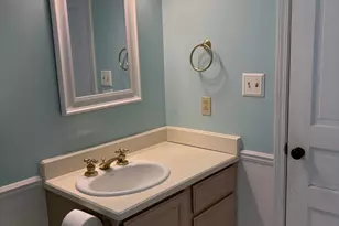 433 McKinley St, Chelsea, MI 48118 - Photo 45