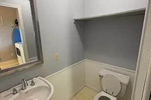 433 McKinley St, Chelsea, MI 48118 - Photo 23