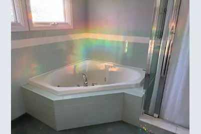 433 McKinley Street, Chelsea, MI 48118 - Photo 63