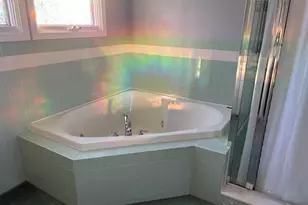 433 McKinley St, Chelsea, MI 48118 - Photo 63