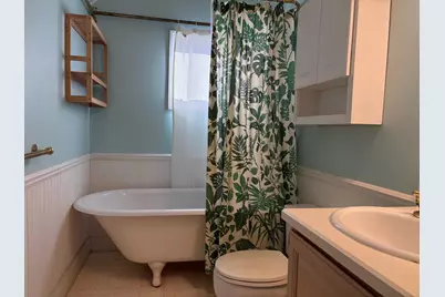 433 McKinley Street, Chelsea, MI 48118 - Photo 47